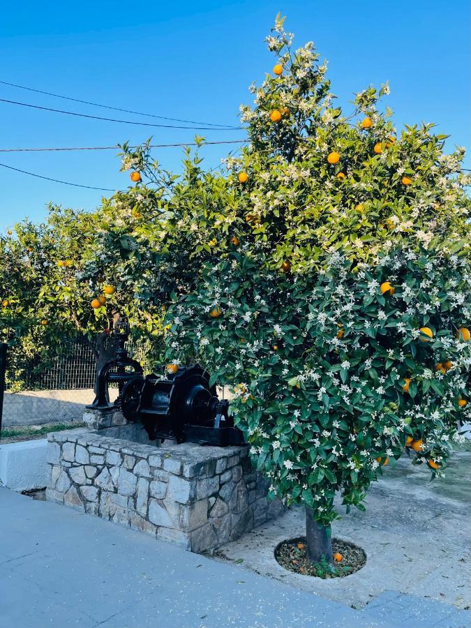 エピダウロス Citrus Gardenヴィラ エクステリア 写真