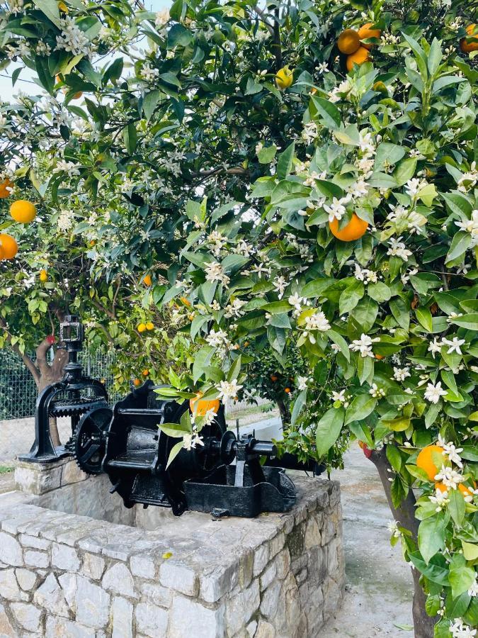 エピダウロス Citrus Gardenヴィラ エクステリア 写真