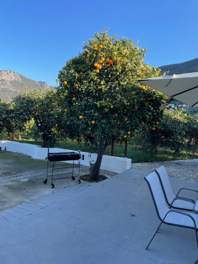 エピダウロス Citrus Gardenヴィラ エクステリア 写真